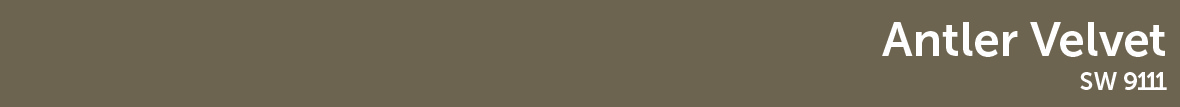 Colores-04.jpg