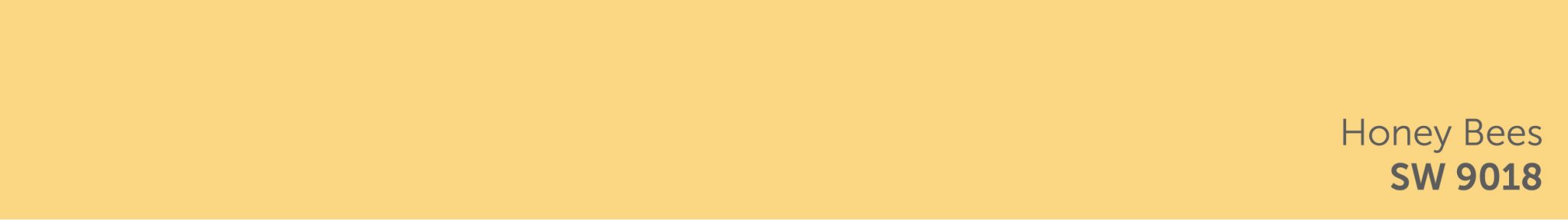 Colores-01.jpg
