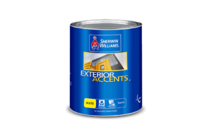 Exterior Accents pintura