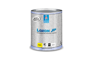 Loxon XP pintura