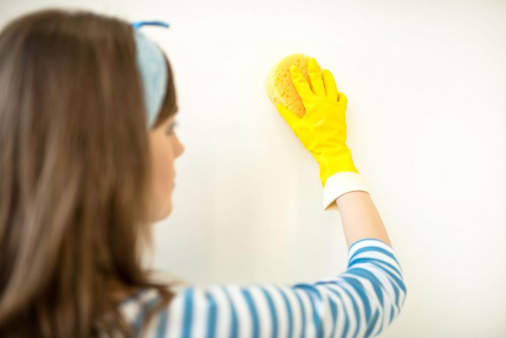 Tips para limpiar tus paredes