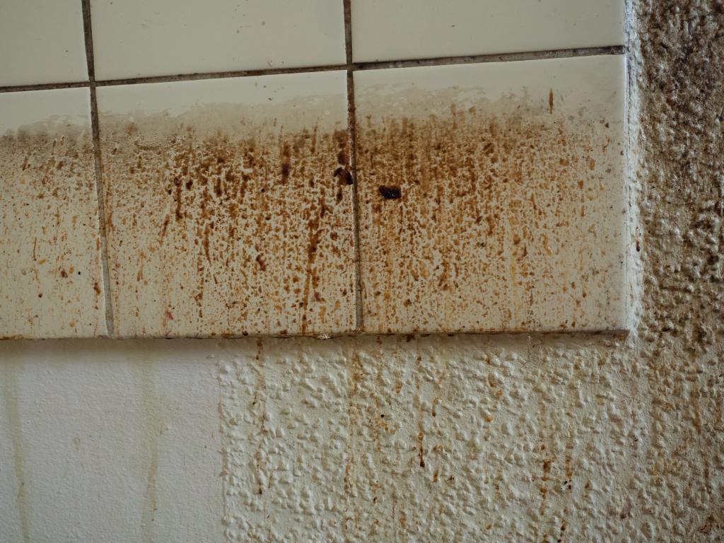 Cómo eliminar manchas de humedad de la pared ▷ Enredando No Garaxe