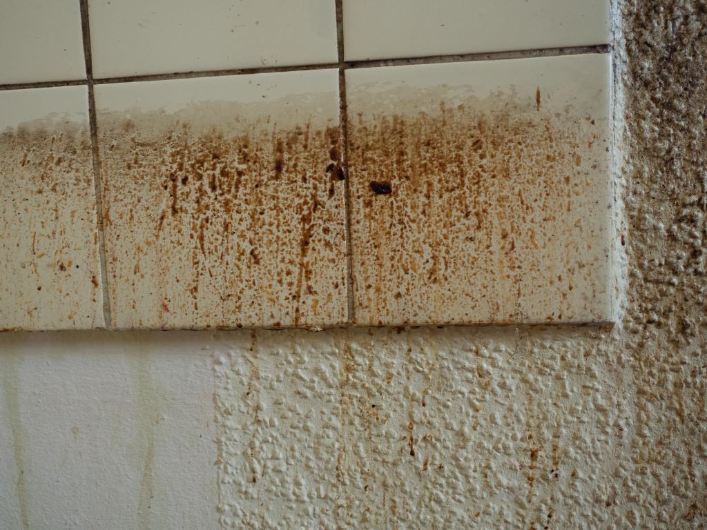 Cómo se quitan las manchas de humedad en la pared?