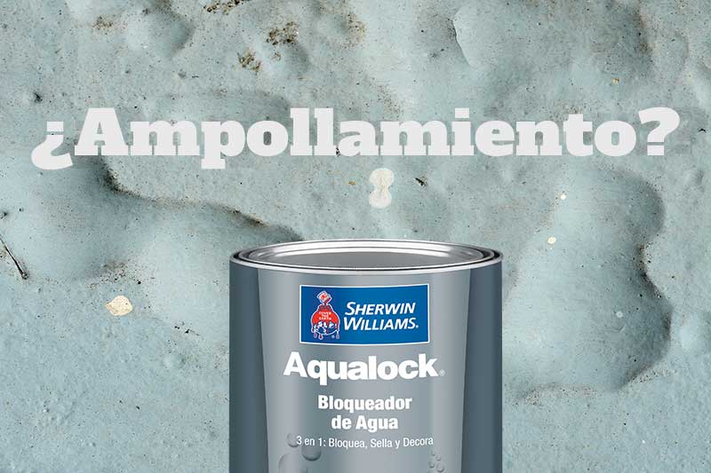 Paredes con hongos? ¡Elíminalos! - Sherwin Williams de Centroamérica