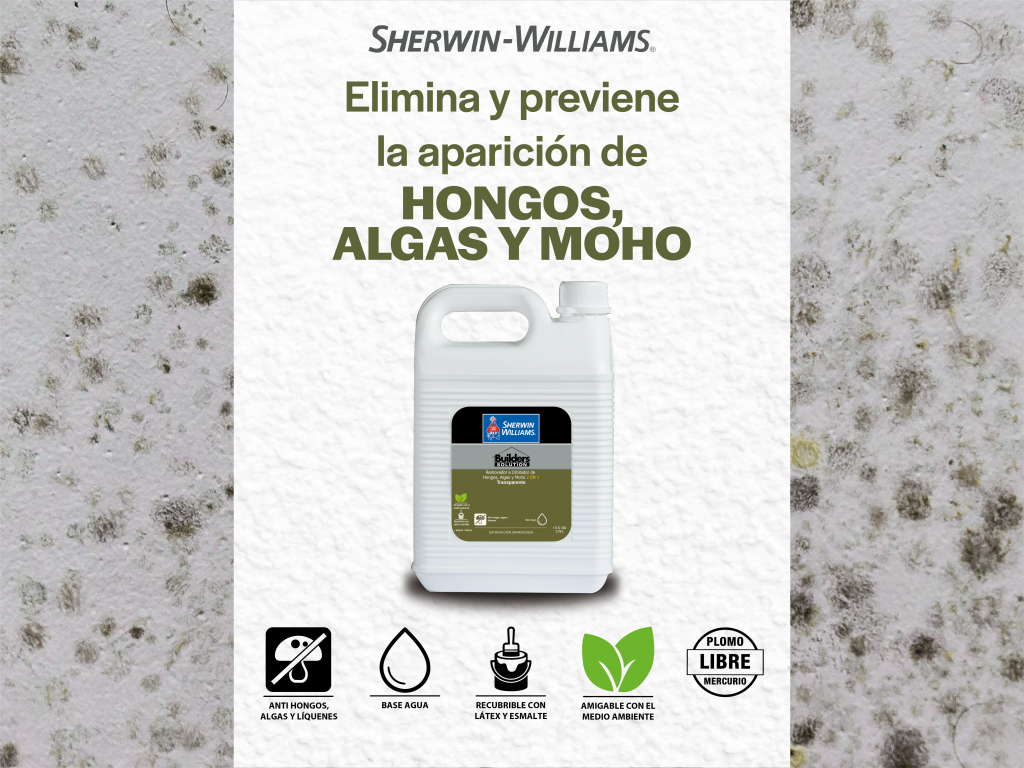 Paredes con hongos? ¡Elíminalos! - Sherwin Williams de Centroamérica