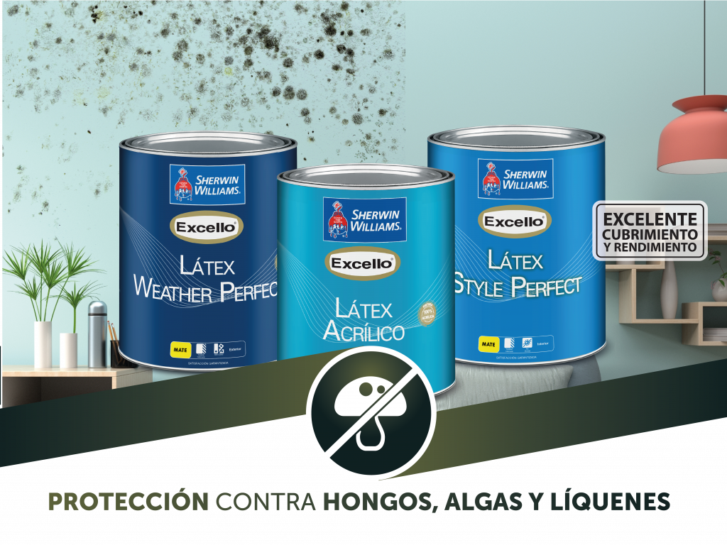 Paredes con hongos? ¡Elíminalos! - Sherwin Williams de Centroamérica