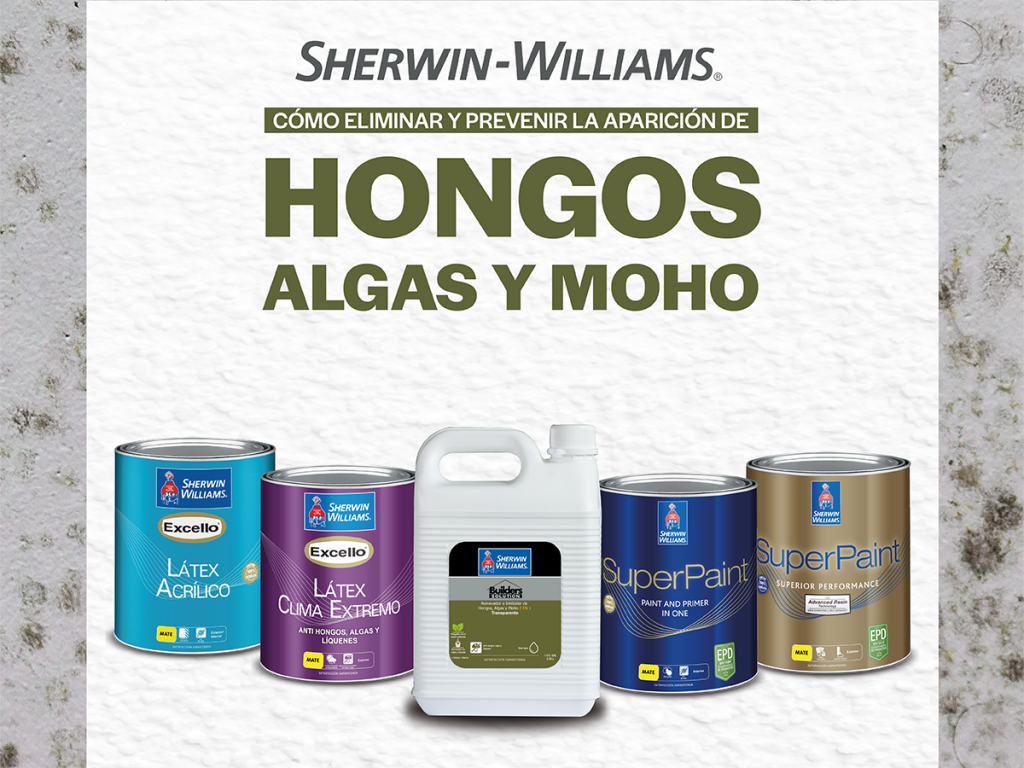 Paredes con hongos? ¡Elíminalos! - Sherwin Williams de Centroamérica