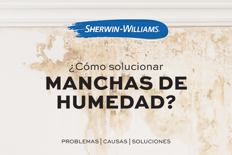 Solución a Manchas de Humedad en Paredes